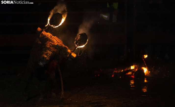 La visión de un arquitecto vallisoletano sobre el Toro Jubilo