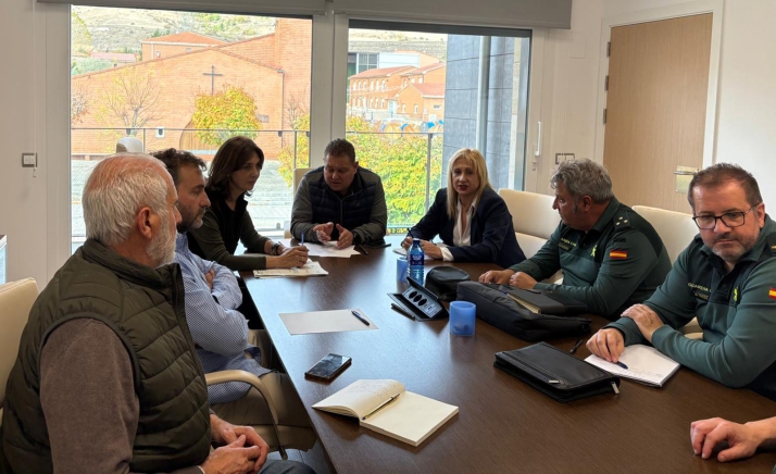 Amplio dispositivo de seguridad en Medinaceli para dos manifestaciones opuestas por el Toro Jubilo