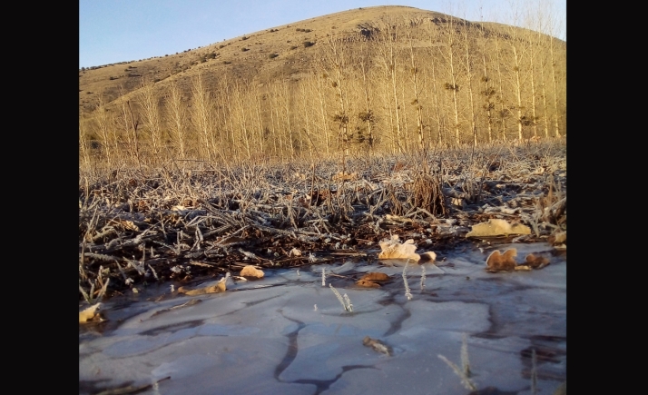 La provincia de Soria lidera el frío en España: -8,0 grados en Espejo de Tera