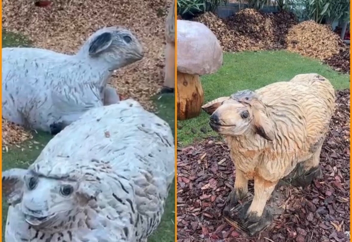 Las ovejas de un Belén soriano se vuelven virales en Instagram