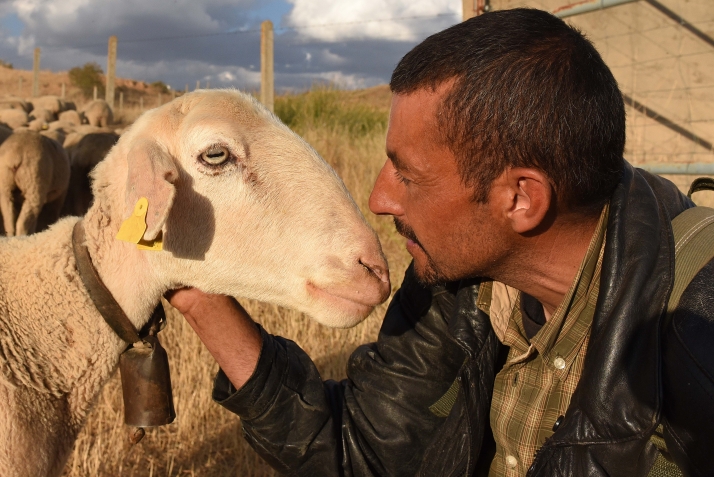 La estela de los últimos trashumantes captura la memoria visual de un oficio milenario en peligro