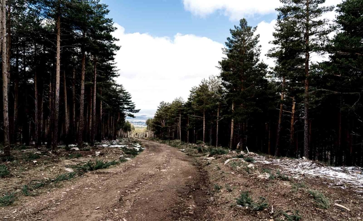 Nuevas obras en trece montes sorianos para facilitar la lucha contra los incendios