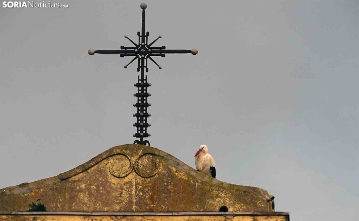 Sábado de invierno en Soria: sol, pero mucho frío durante todo el día