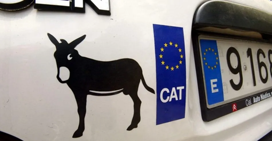 De tontos, ni un pelo  