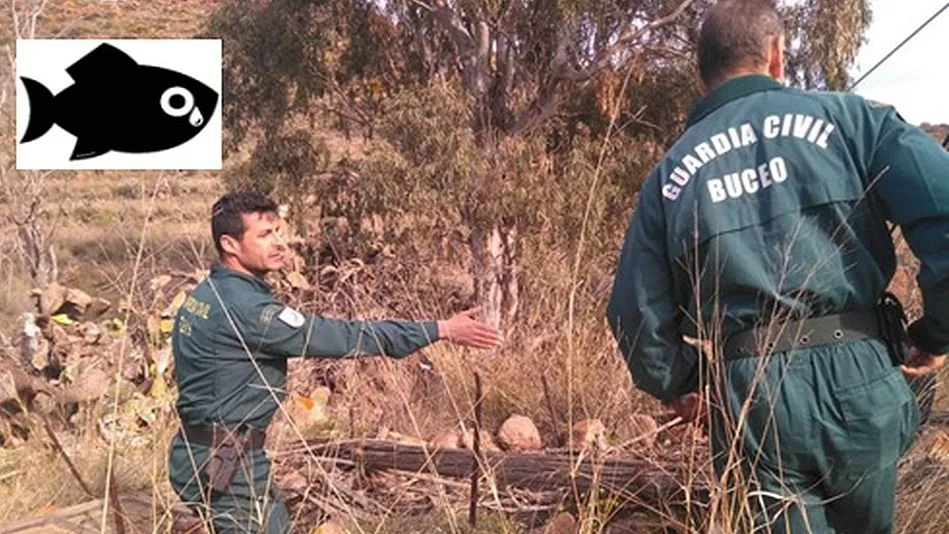 Más de una lección