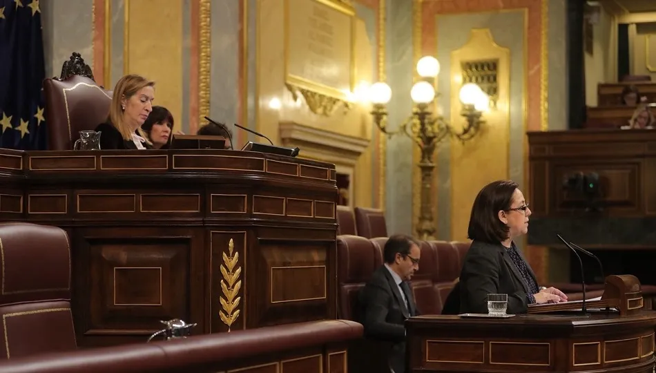 La diputada salmantina se dirige al Parlamento en su intervención de este jueves.