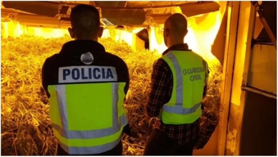 Operación de Policía Nacional y Guardia Civil para desarticular a este grupo criminal