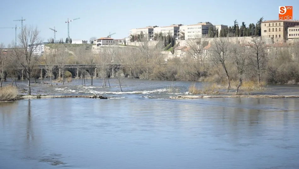 El fuerte caudal del Tormes rompe la pesquera del puente romano  
