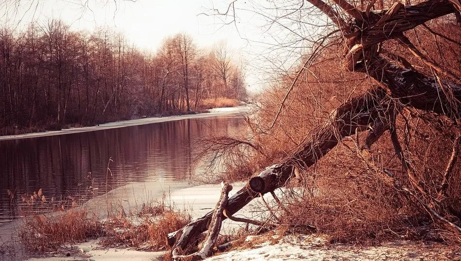 La muerte del invierno