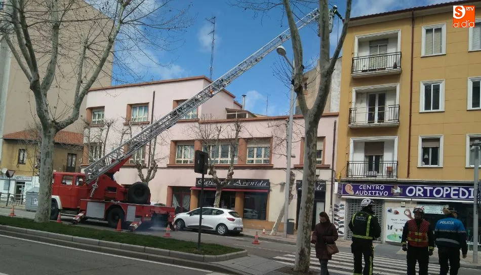 Intervención de los Bomberos en la avenida de Portugal