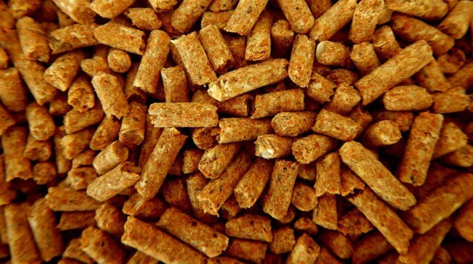 El objetivo es mejorar la eficiencia energética de los centros educativos