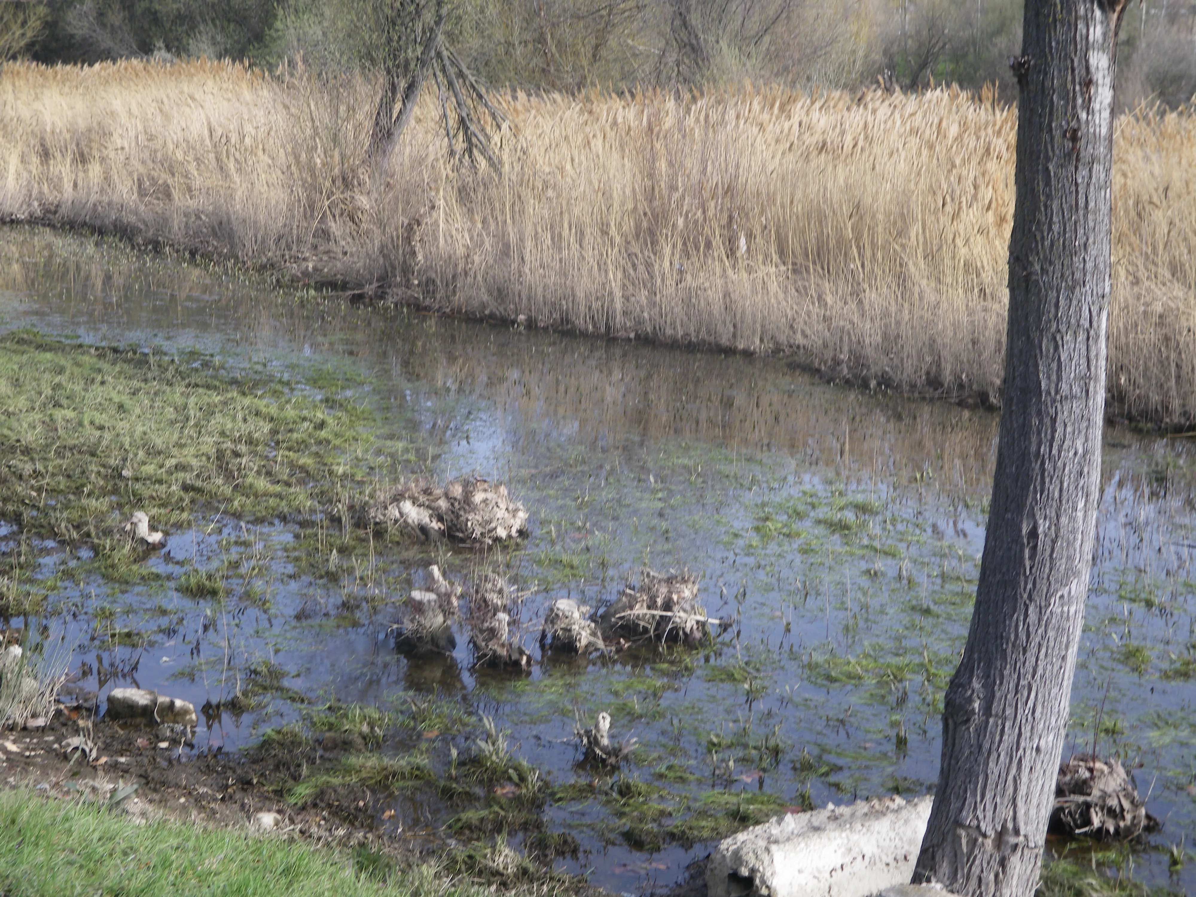 Un paseo por el río, nuestra ciudad, nuestros barrios.