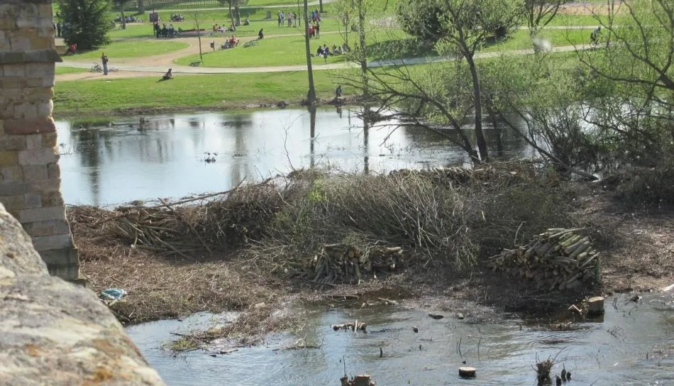 Estado actual del río Tormes, a su paso por Salamanca