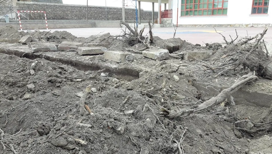 Estado del patio como consecuencia de la eliminación de las raíces enfermas