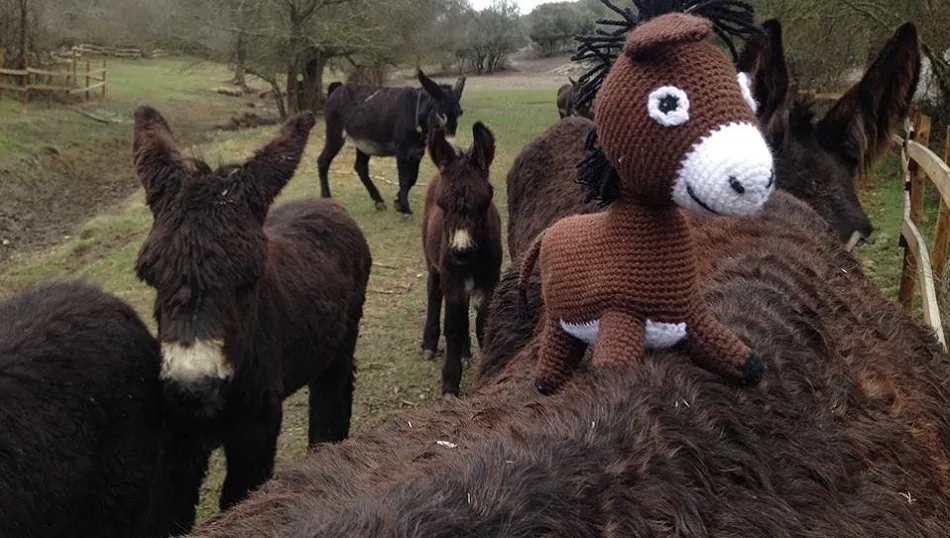 Imagen promocional de la agrupación de Atenor.