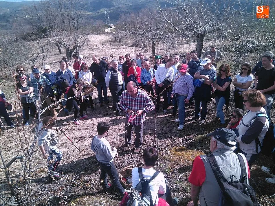 Los cerezos y viñedos al servicio del turismo primaveral