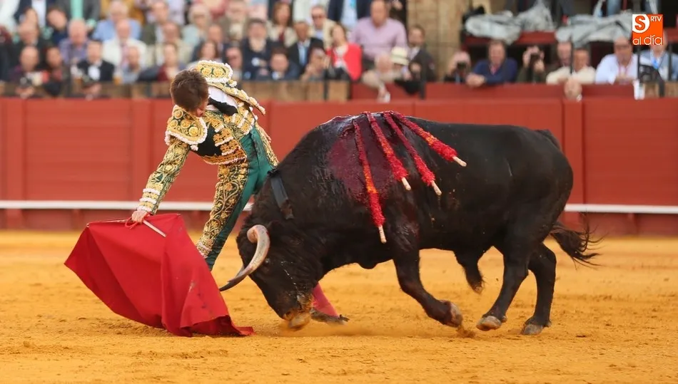 Derechazo del Juli a Orgullito en La Maestranza / CULTORO