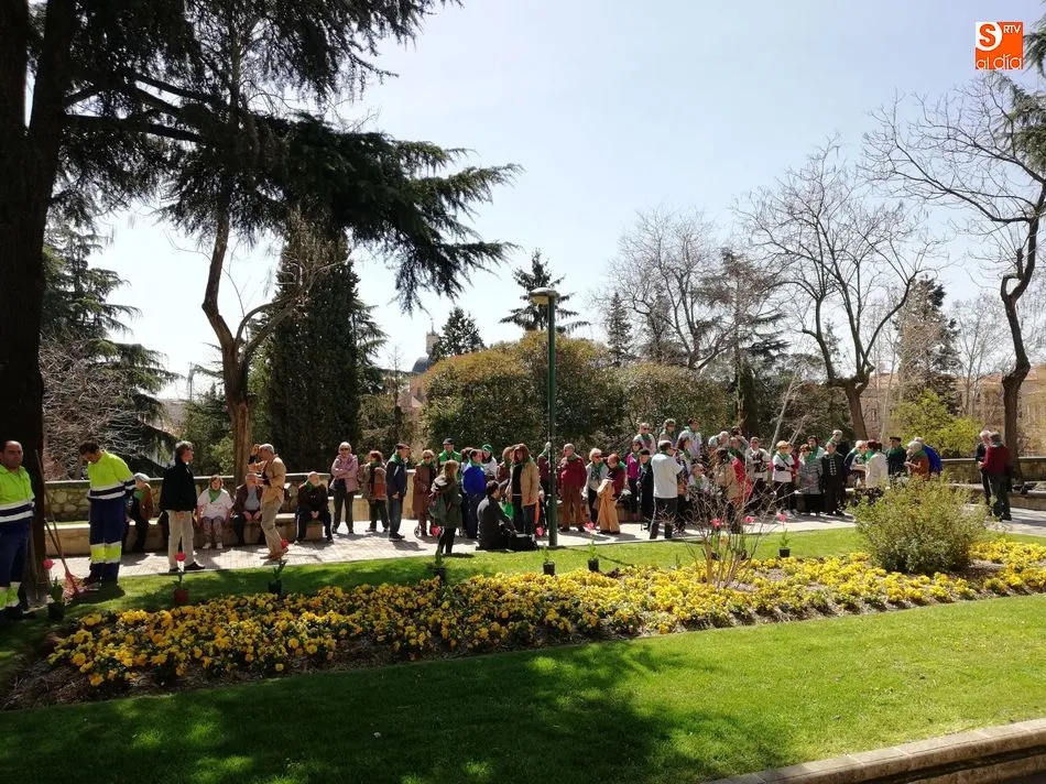 Tulipanes para conmemorar el Día Mundial del Parkinson  