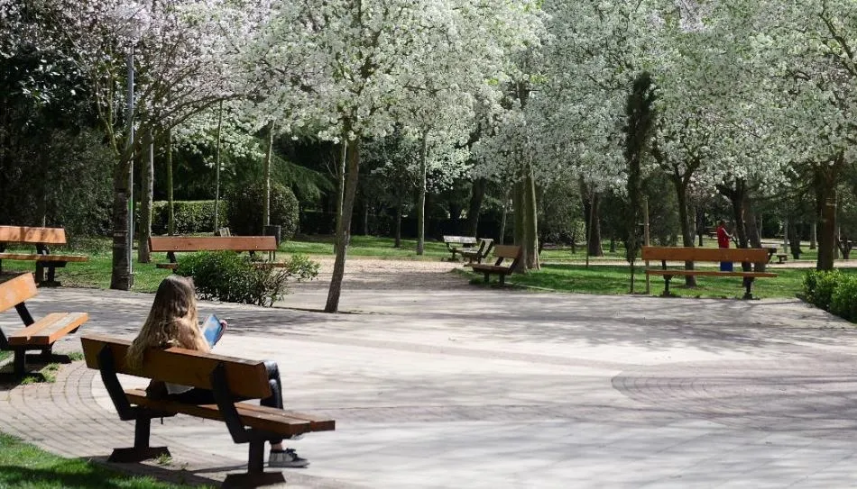 Páginas del paraíso