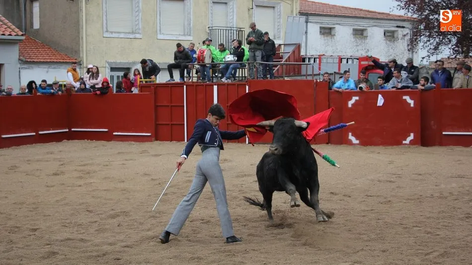 Diosleguarde, triunfador de la tarde tras cortar un rabo a un excelente novillo de ‘Joseto’ / FOTOS: MARIBEL SÁNCHEZ