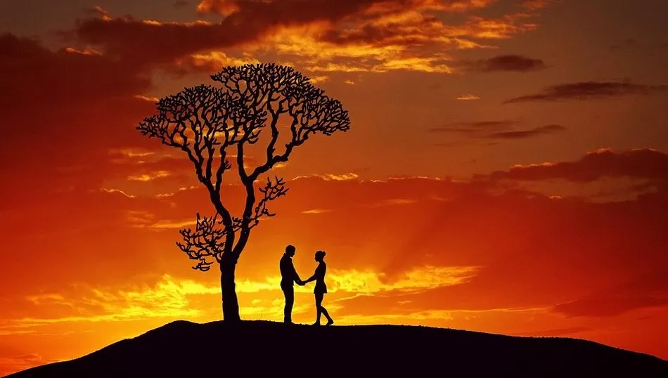 Árboles y seres humanos