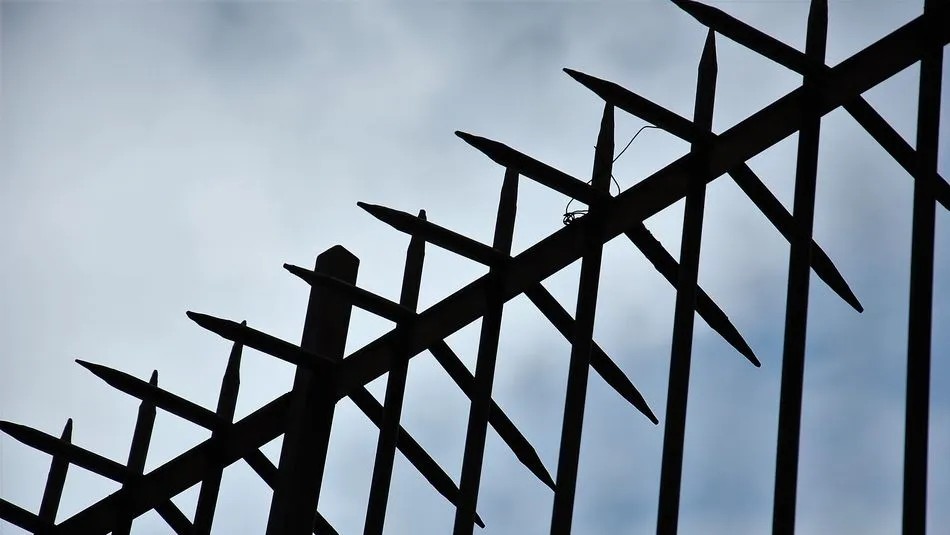 Más allá de la Manada