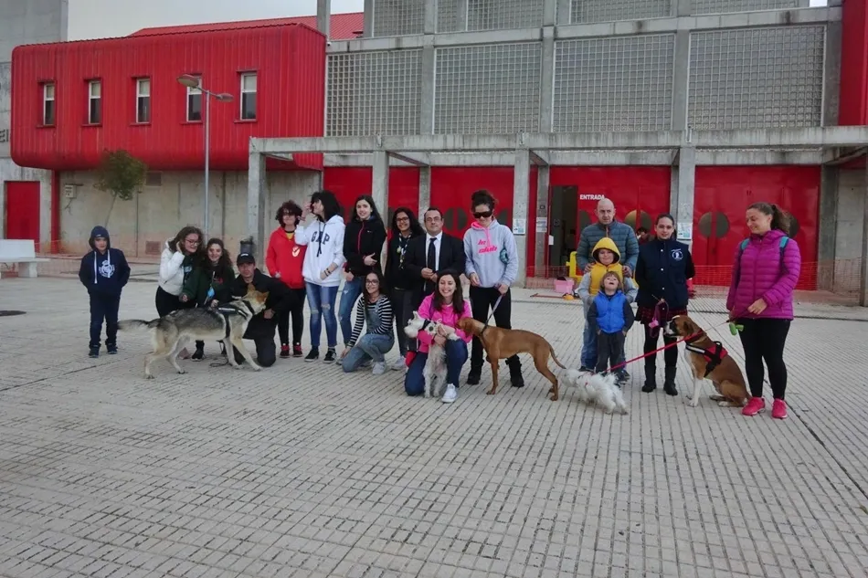 Exhibición de la interesante labor de los perros de rescate en Villares de la Reina