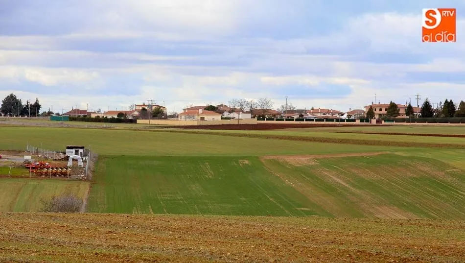 La Comisión argumenta que Europa necesita un sector agrícola resiliente, sostenible y competitivo