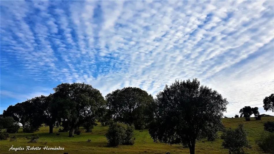 Los abanicos del mundo
