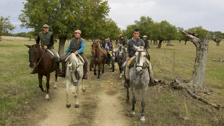 Los aficionados al caballo también disfrutan de la finca de Rollanejo   |  Reyconet