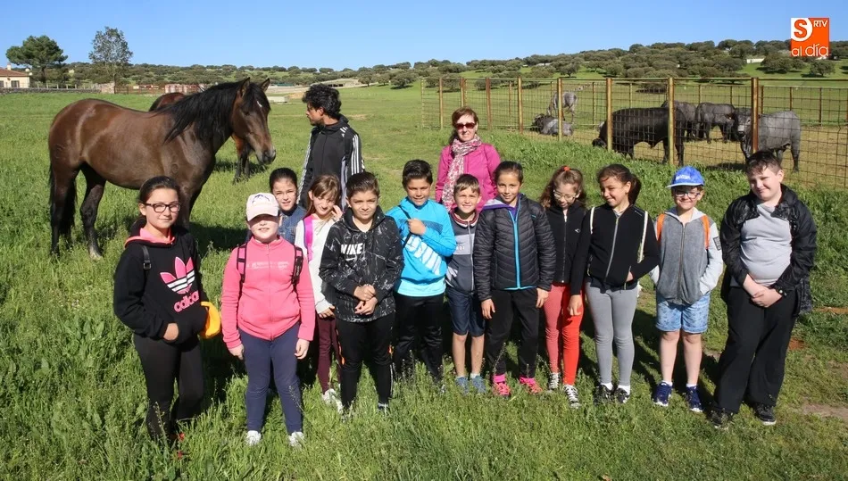 Los alu,nos de 4º de Primaria del CEIP Pablo Picasso de Carbajosa, disfutaron de la dehesa / REP. GRÁFICO: PABLO MARTÍN