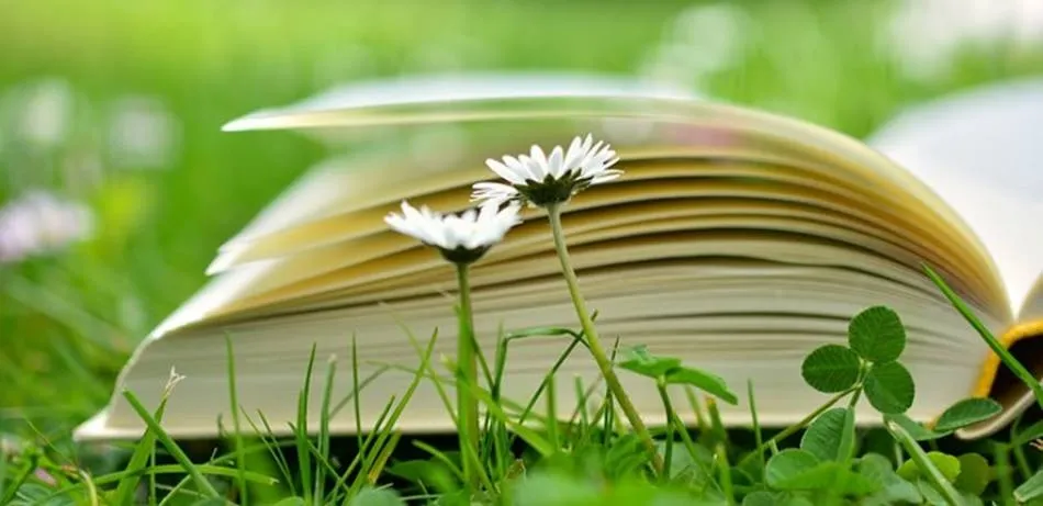 El libro se abre como una flor en primavera  