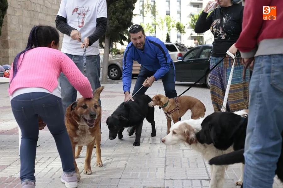 Algunos participantes en la jornada con los caninos de las protectoras salmantinas / Foto: Alejandro López