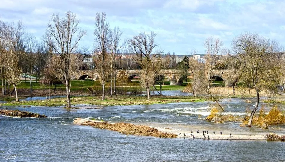 Pesquera rota del río Tormes a su paso por Salamanca. Foto de Manuel Lamas