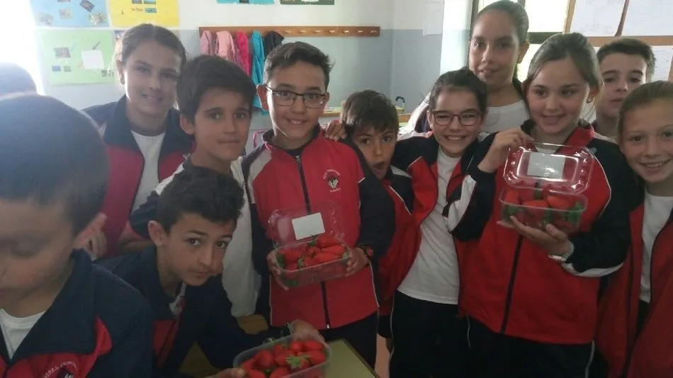 El colegio Padres Trinitarios participa en el Programa Escolar de consumo de frutas, hortalizas y...