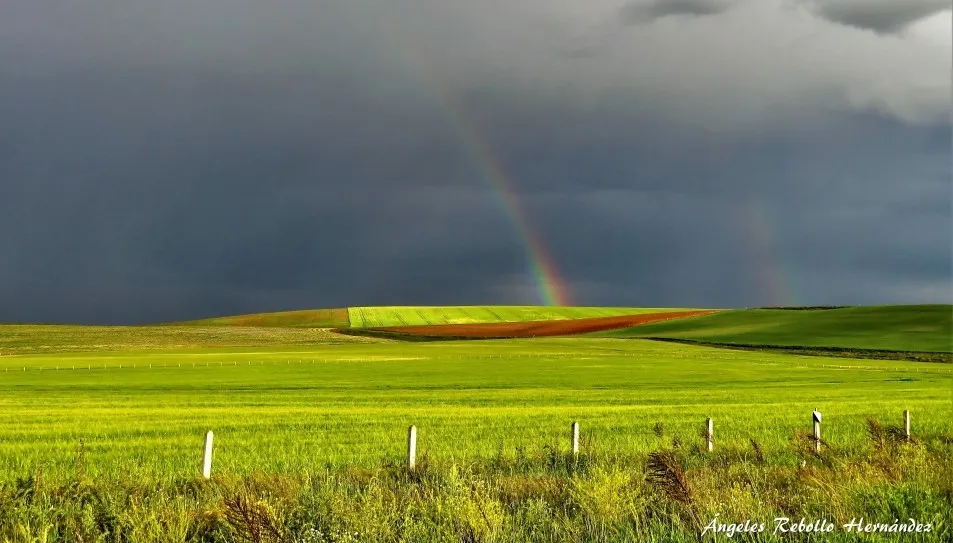 En la magia del cosmos