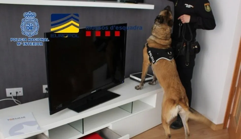 Desarticulado el entramado financiero que habían montado en España