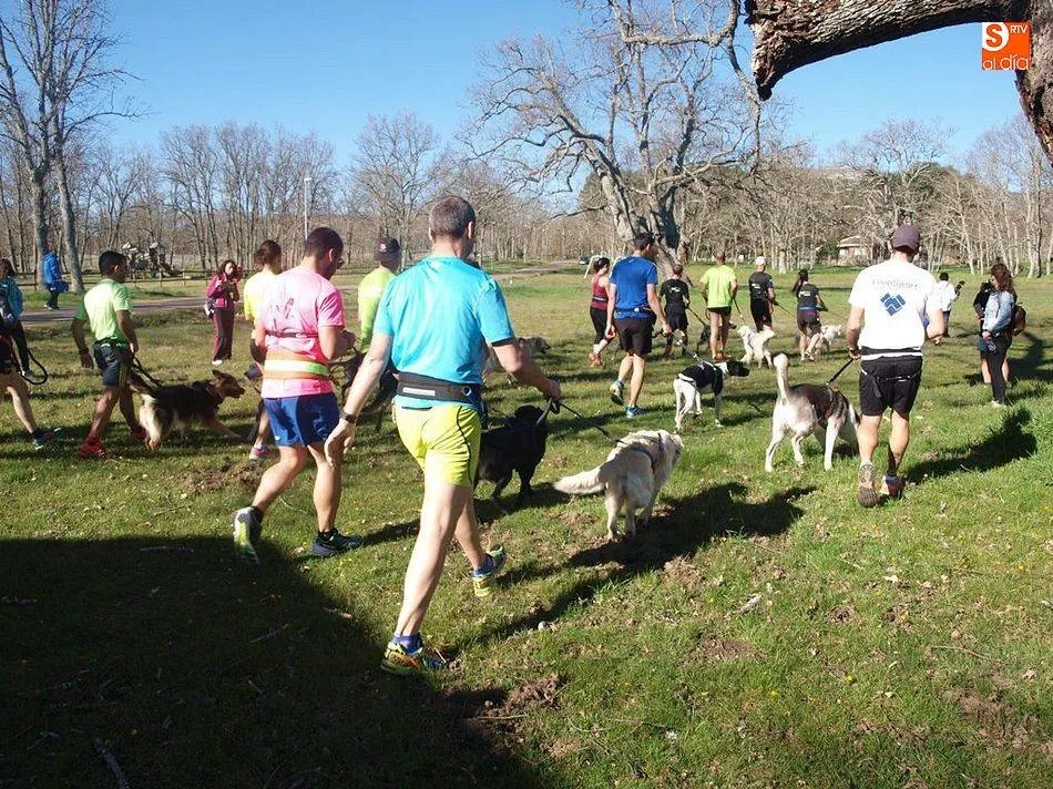 El IV Canicross y Duatlón de Nava de Francia cierra hoy su plazo de inscripción