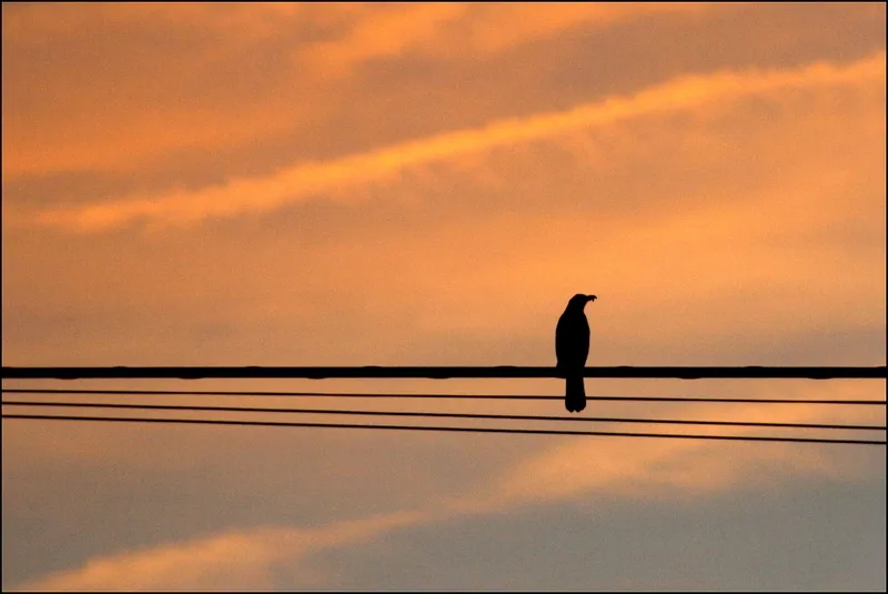 Amanecer y atardecer