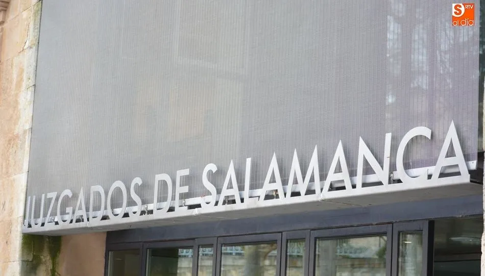 Del total de infracciones penales, la mayoría fueron delitos y una mínima parte faltas