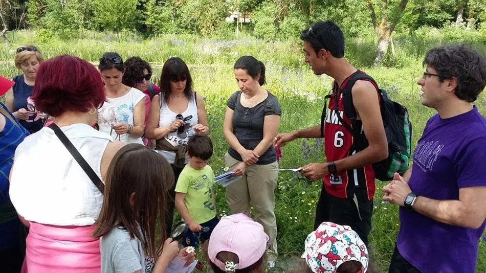 Los niños elaborarán un ecomuro con distintas plantas para celebrar el Día Mundial del Medio...
