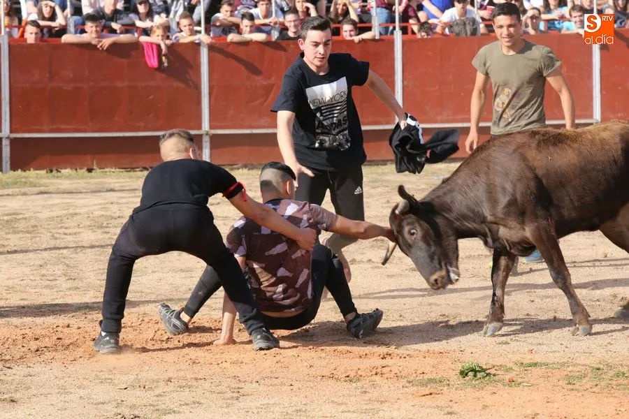 Momento dentro de la Plaza Portátil de Villares / Foto: Alberto Martín