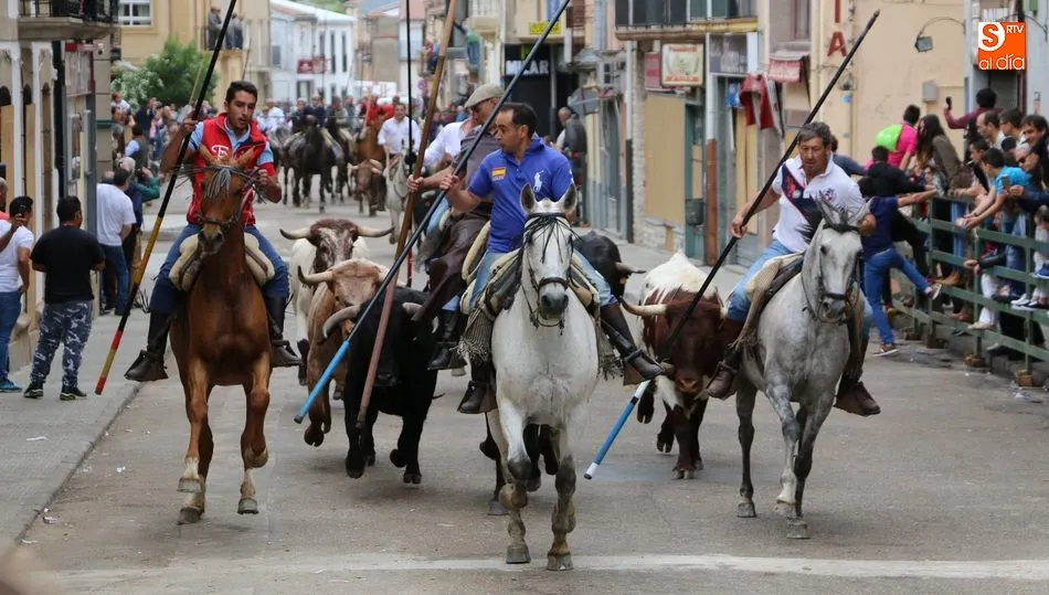 Bonito encierro a caballo el celebrado este domingo de Corpus en Vitigudino