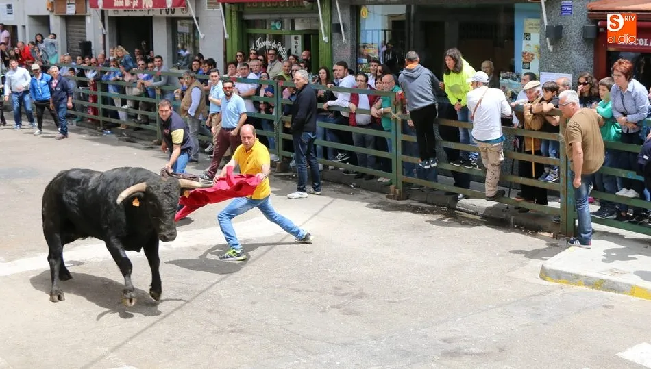 Vibrante encierro el de este domingo de Corpus y con las calles llenas de público / MARIBEL SÁNCHEZ Y M. C.