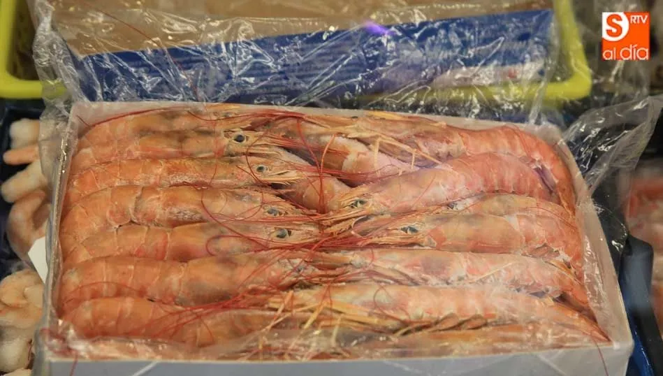 Los crustáceos, también contaminados por micoplásticos. Foto: Alberto Martín