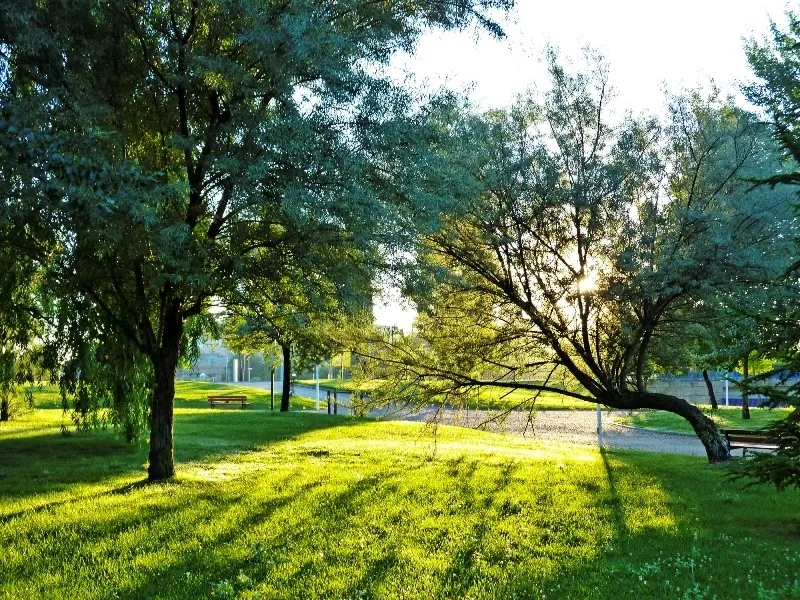 El verano que se resiste. Foto: Manuel Lamas