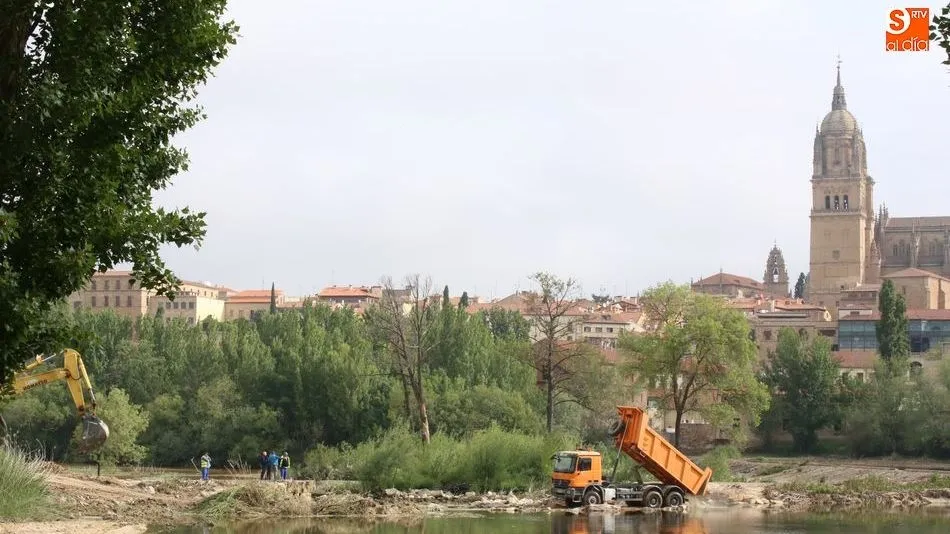 Limpieza del Tormes. Fotos: Alberto Martín