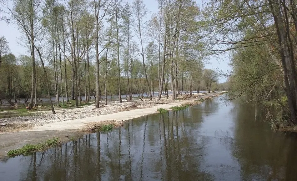Imagen del río Tormes a su paso por Sieteiglesias.