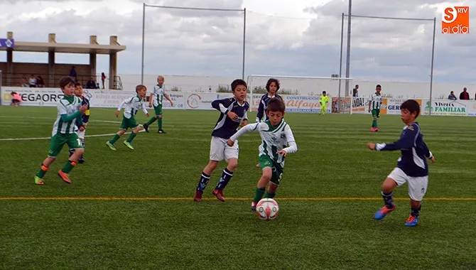 Nueve equipos participaban en el VII edición del Torneo de Fútbol 7 Ciudad de Peñaranda