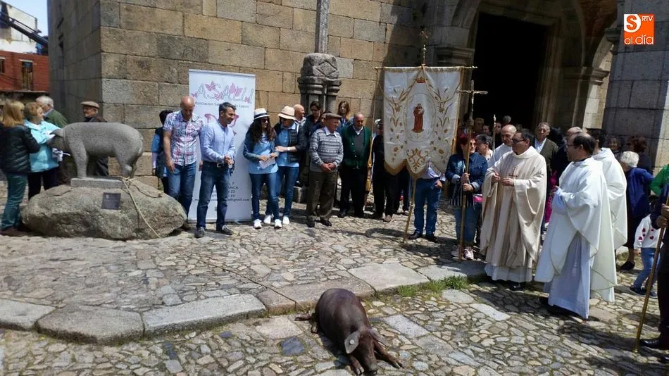 El marrano de San Antón recibió la bendición a la puerta de la iglesia de La Alberca